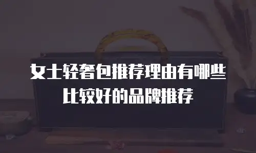 女士轻奢包推荐理由有哪些比较好的品牌推荐