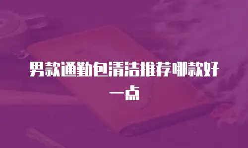 男款通勤包清洁推荐哪款好一点