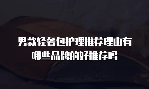 男款轻奢包护理推荐理由有哪些品牌的好推荐吗