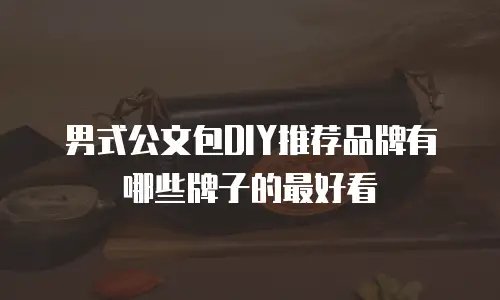 男式公文包DIY推荐品牌有哪些牌子的最好看