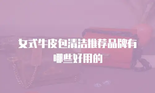 女式牛皮包清洁推荐品牌有哪些好用的