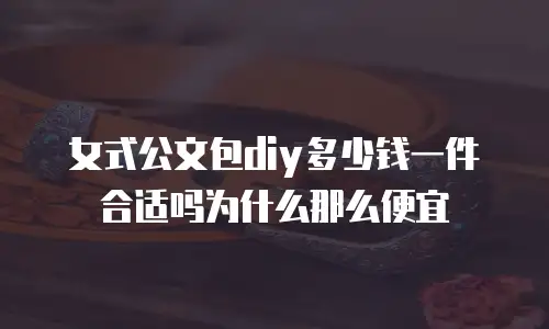 女式公文包diy多少钱一件合适吗为什么那么便宜