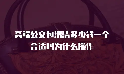 高端公文包清洁多少钱一个合适吗为什么操作