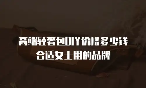 高端轻奢包DIY价格多少钱合适女士用的品牌