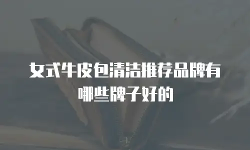 女式牛皮包清洁推荐品牌有哪些牌子好的