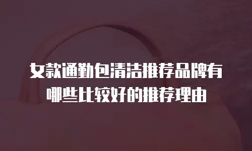 女款通勤包清洁推荐品牌有哪些比较好的推荐理由