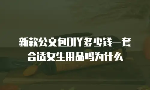 新款公文包DIY多少钱一套合适女生用品吗为什么