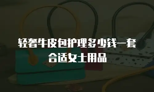轻奢牛皮包护理多少钱一套合适女士用品