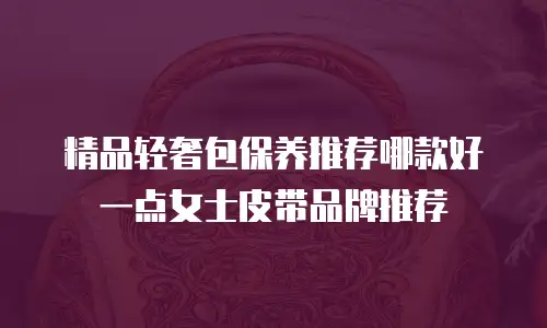 精品轻奢包保养推荐哪款好一点女士皮带品牌推荐