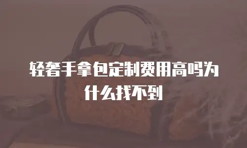 轻奢手拿包定制费用高吗为什么找不到