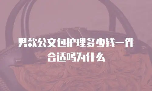 男款公文包护理多少钱一件合适吗为什么