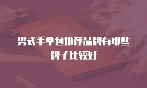男式手拿包推荐品牌有哪些牌子比较好
