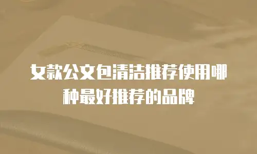 女款公文包清洁推荐使用哪种最好推荐的品牌