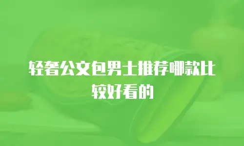 轻奢公文包男士推荐哪款比较好看的