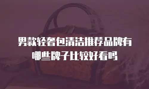 男款轻奢包清洁推荐品牌有哪些牌子比较好看吗