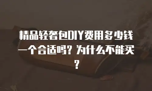 精品轻奢包DIY费用多少钱一个合适吗？为什么不能买？
