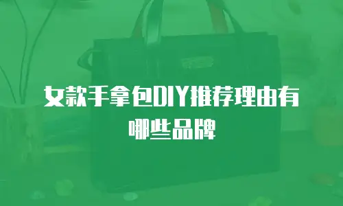 女款手拿包DIY推荐理由有哪些品牌