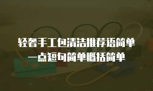 轻奢手工包清洁推荐语简单一点短句简单概括简单