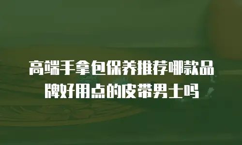 高端手拿包保养推荐哪款品牌好用点的皮带男士吗