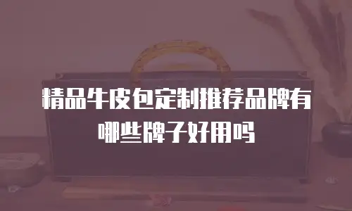 精品牛皮包定制推荐品牌有哪些牌子好用吗