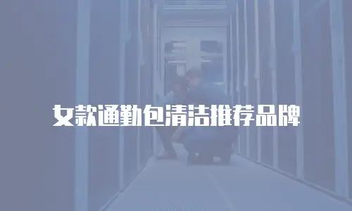 女款通勤包清洁推荐品牌