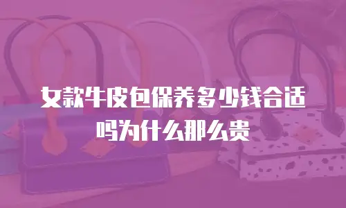 女款牛皮包保养多少钱合适吗为什么那么贵