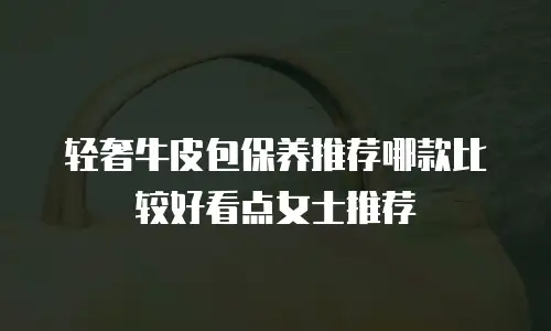 轻奢牛皮包保养推荐哪款比较好看点女士推荐