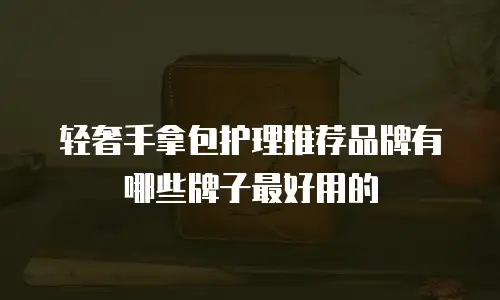 轻奢手拿包护理推荐品牌有哪些牌子最好用的