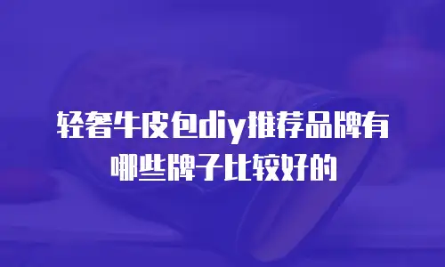 轻奢牛皮包diy推荐品牌有哪些牌子比较好的