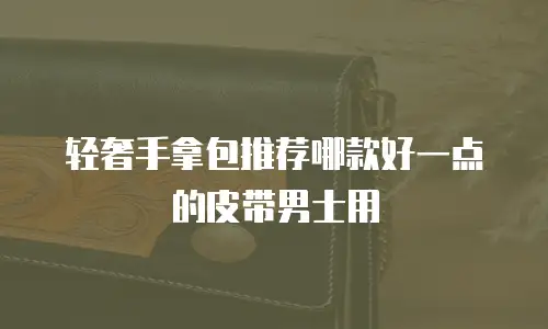 轻奢手拿包推荐哪款好一点的皮带男士用