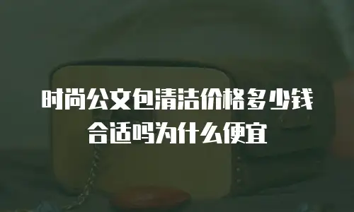 时尚公文包清洁价格多少钱合适吗为什么便宜