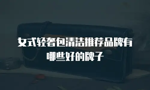 女式轻奢包清洁推荐品牌有哪些好的牌子