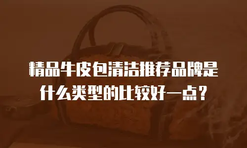 精品牛皮包清洁推荐品牌是什么类型的比较好一点？