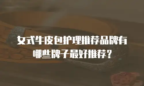女式牛皮包护理推荐品牌有哪些牌子最好推荐？