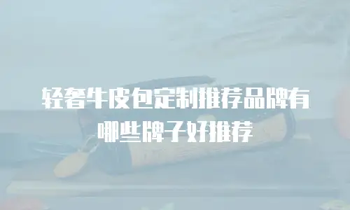 轻奢牛皮包定制推荐品牌有哪些牌子好推荐