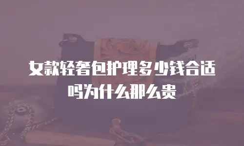 女款轻奢包护理多少钱合适吗为什么那么贵