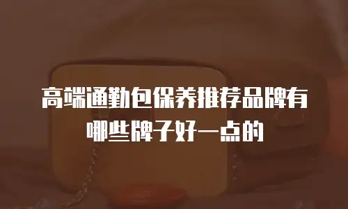 高端通勤包保养推荐品牌有哪些牌子好一点的