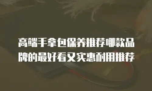 高端手拿包保养推荐哪款品牌的最好看又实惠耐用推荐