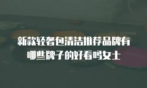 新款轻奢包清洁推荐品牌有哪些牌子的好看吗女士