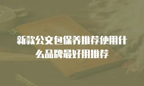 新款公文包保养推荐使用什么品牌最好用推荐