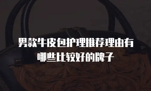 男款牛皮包护理推荐理由有哪些比较好的牌子