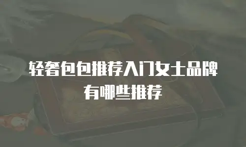 轻奢包包推荐入门女士品牌有哪些推荐