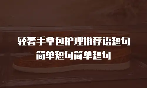 轻奢手拿包护理推荐语短句简单短句简单短句