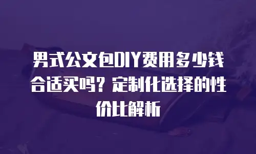 男式公文包DIY费用多少钱合适买吗？定制化选择的性价比解析