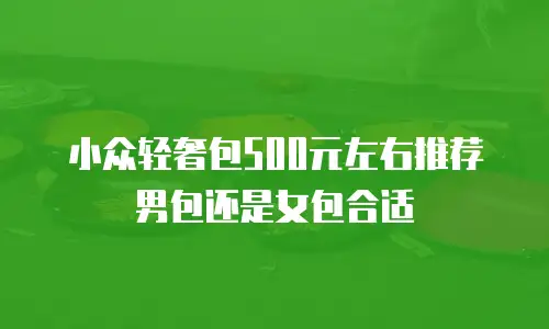 小众轻奢包500元左右推荐男包还是女包合适