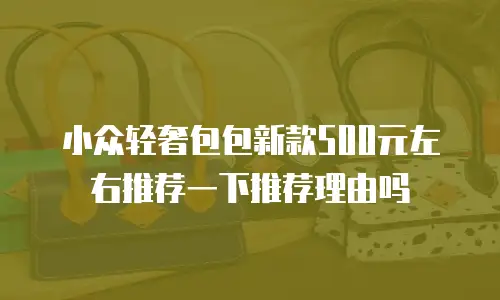 小众轻奢包包新款500元左右推荐一下推荐理由吗