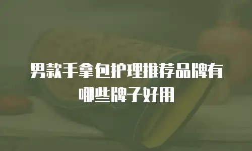 男款手拿包护理推荐品牌有哪些牌子好用
