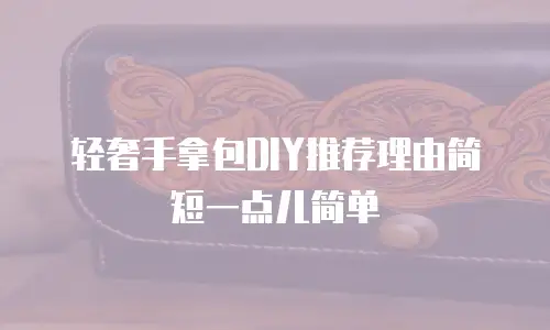 轻奢手拿包DIY推荐理由简短一点儿简单