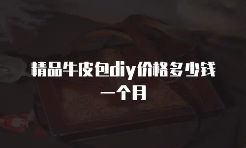 精品牛皮包diy价格多少钱一个月