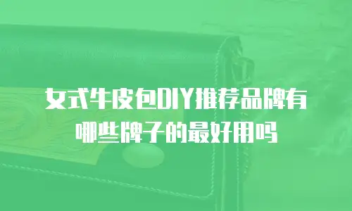 女式牛皮包DIY推荐品牌有哪些牌子的最好用吗